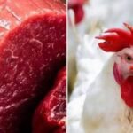 أسعار اللحوم والدواجن والأسماك اليوم في مصر.. ارتفاع جديد في أسعار الدواجن واستقرار اللحوم والأسماك