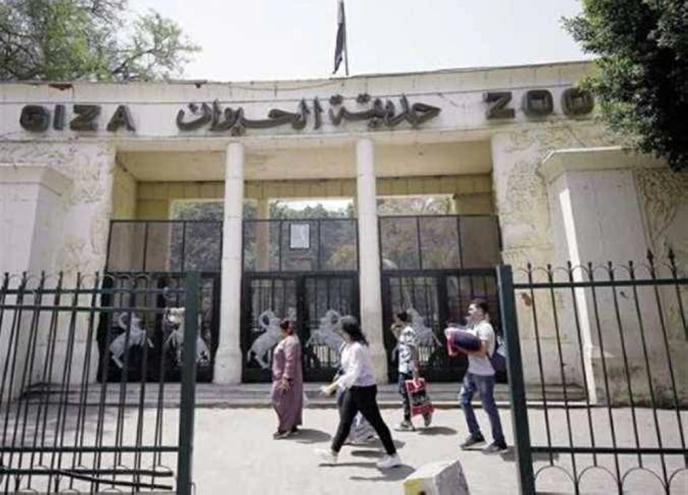 موعد افتتاح حديقة الحيوان بالجيزة 2026.. تطوير عالمي وتجربة جديدة كليًا للزوار