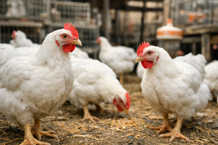 file_00000000d3a8720abd942114b9eb05cb