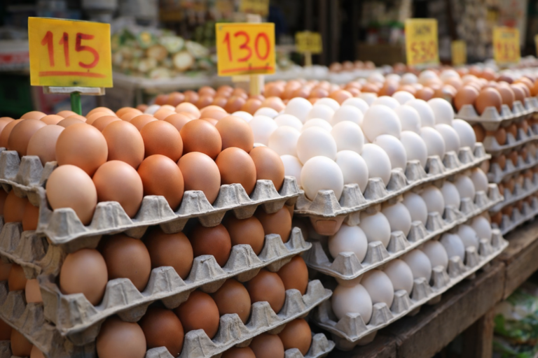 سعر كرتونة البيض اليوم السبت 14 مارس 2026 في الأسواق