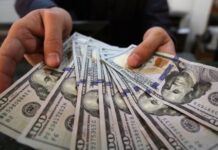 سعر الدولار اليوم 12 أبريل في مصر.. الدولار يواصل الاستقرار وتحركات بالبنوك