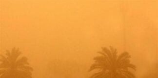 الطقس غدًا الأربعاء 15 أبريل 2026 والأرصاد تحذر.. الخماسين على الأبواب