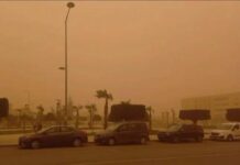عاصفة ترابية جديدة تضرب مصر.. انخفاض الرؤيةوإرتفاع درجات الحرارة