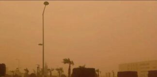 عاصفة ترابية جديدة تضرب مصر.. انخفاض الرؤيةوإرتفاع درجات الحرارة