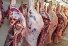 أسعار اللحوم قبل عيد الأضحى 2026.. هل ترتفع أم تستقر؟