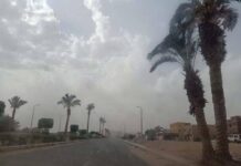 طقس الأحد 19 أبريل بمصر.. أجواء متقلبة وأمطار ورياح مثيرة للأتربة