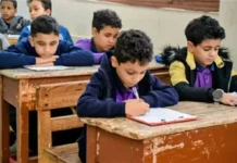 ظهرت الآن.. نتائج سنوات النقل بالقاهرة 2026 إلكترونيًا عبر بوابة التعليم الأساسي