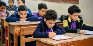 ظهرت الآن.. نتائج سنوات النقل بالقاهرة 2026 إلكترونيًا عبر بوابة التعليم الأساسي