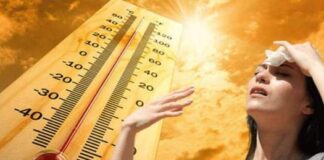 موجة شديدة الحرارة تضرب مصر حتى نهاية الأسبوع والمحسوسة تصل إلى 46 درجة